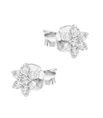 Beautiful Flower Silver Stud Earring STS-7122